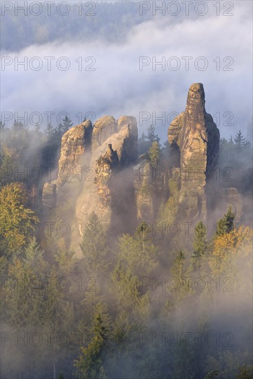 Rock serrated crown