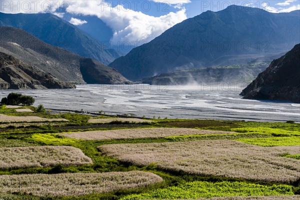 View of agricultural landscape