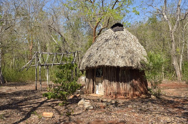 Hut with palm roof as a storage room