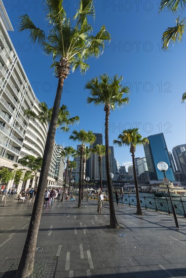 Harbor promenade and financial district