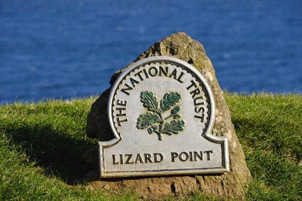 Lizard Point