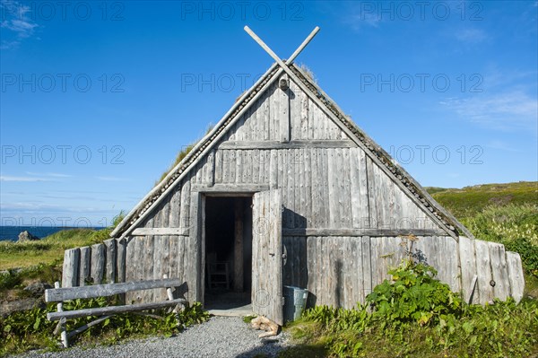 Traditional viking building