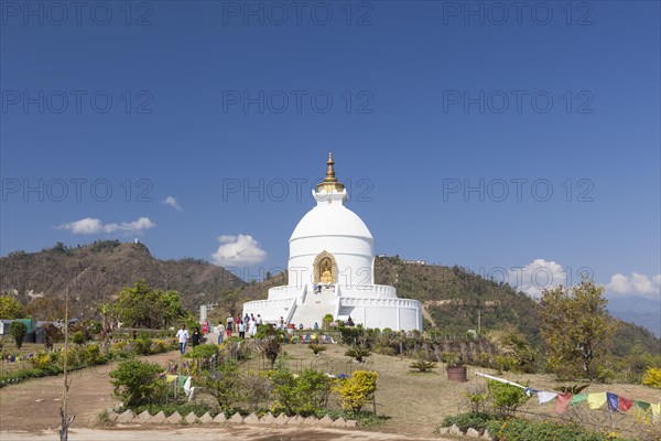 World Peace Pagoda