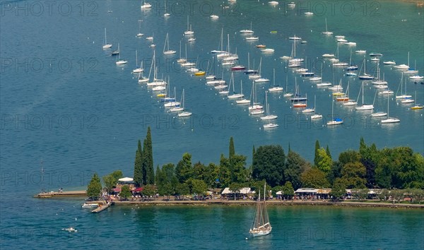 Sailboats in marina