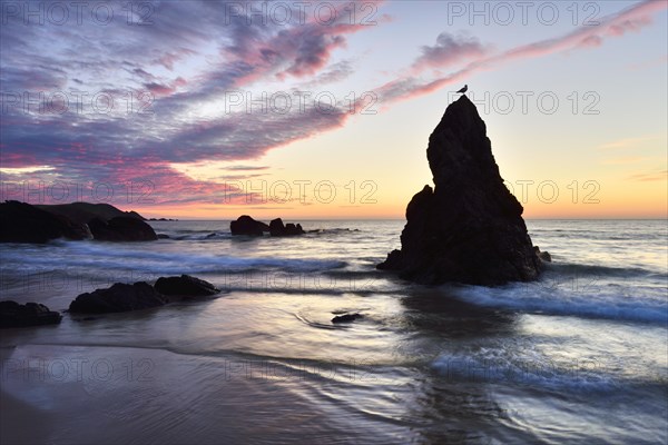 Rock structure with bird