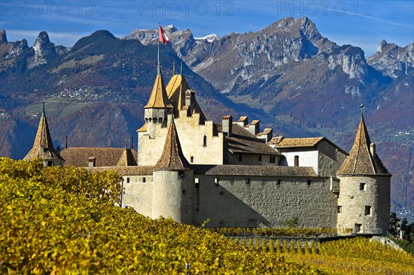 Wine Museum Aigle Castle