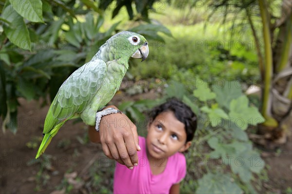 Little girl holds blue-fronted Amazon parrot