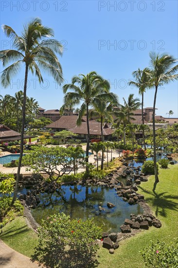 Hotel resort with pool and palm trees