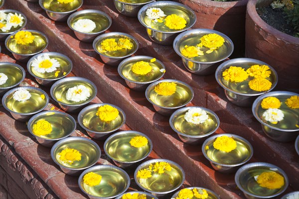 Bowls with saffron water and flowers