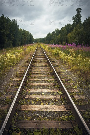 Train tracks