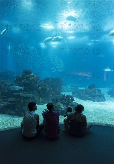 People inside Lisbon Oceanarium