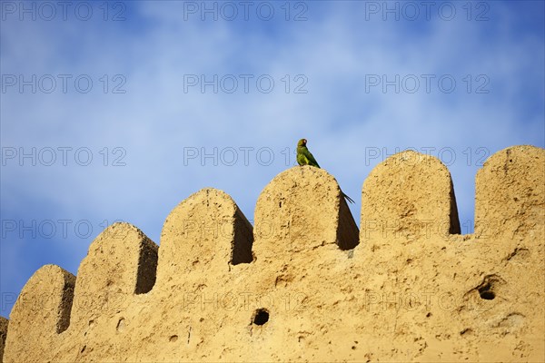 Khasab Castle