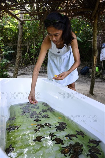 Feeding of the pubs in a bathtub