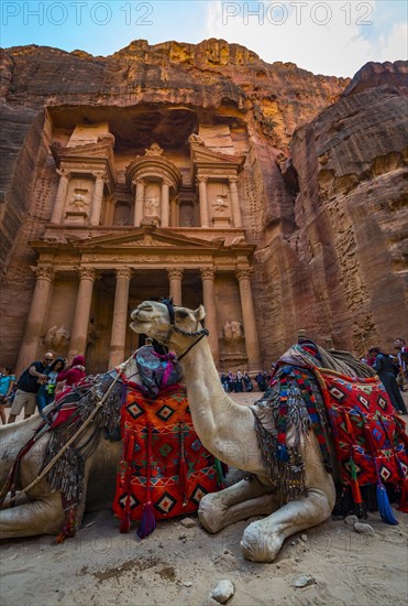 Dromedaries in front of the Pharaoh's treasure house carved out of rock