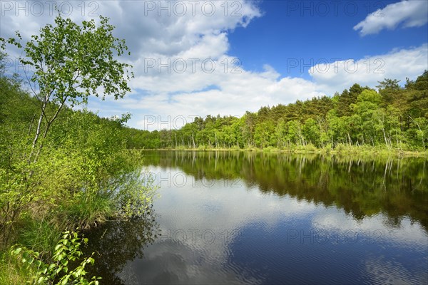 Wienpietschseen