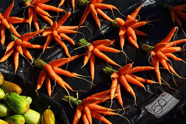 Carrots on the market