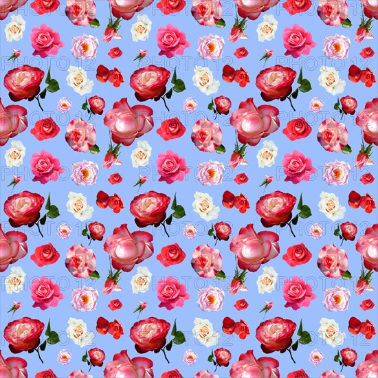 Wallpaper