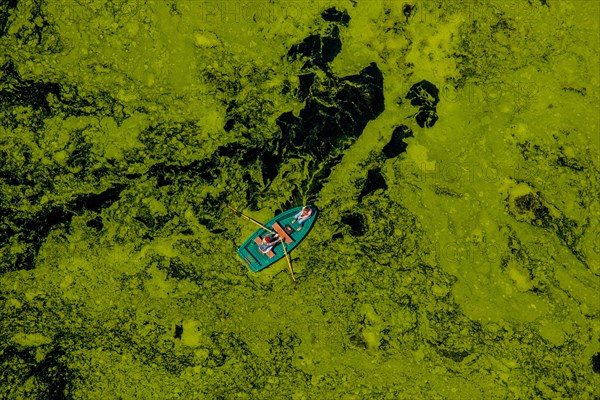 Aerial view of rowboat traveling through water weed