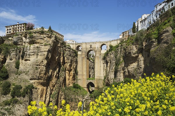 Puente Nuevo with Tajo gorge and river Rio Guadalevin