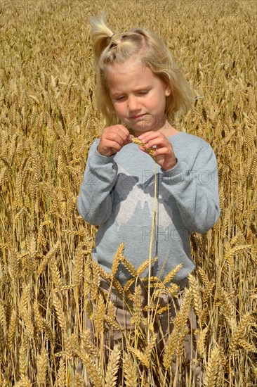 Young girl stands in wheat field