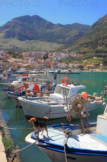 Boats in fishing port