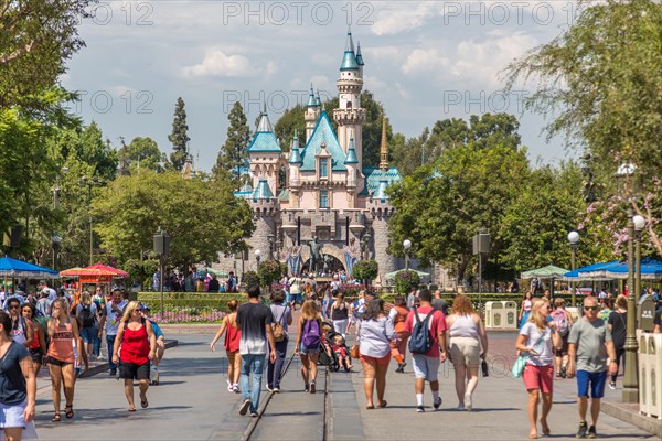 Sleeping Beauty Castle