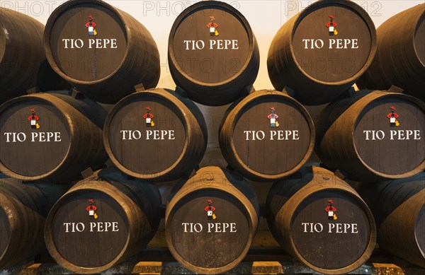 Stacked oak barrels with the famous Tio Pepe sherry