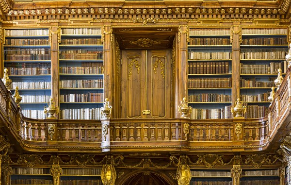 Gallery with bookshelves