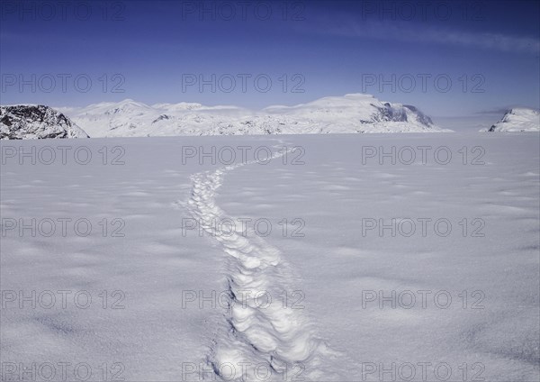 Polar Bear tracks head off across a frozen fjord towards distant mountains