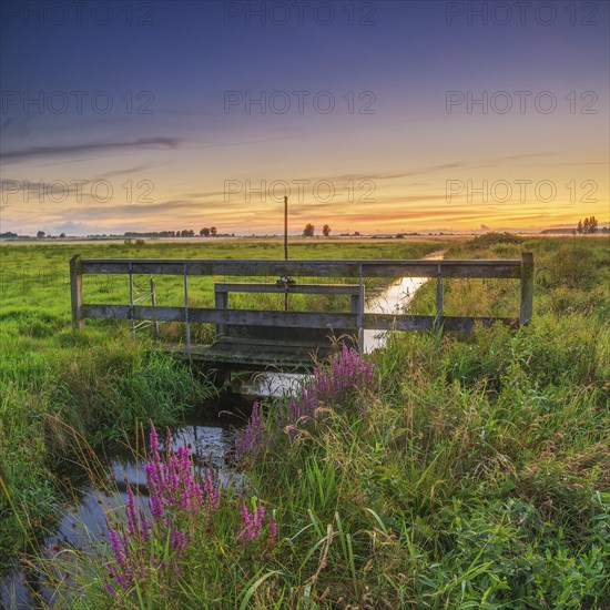 Irrigation ditch