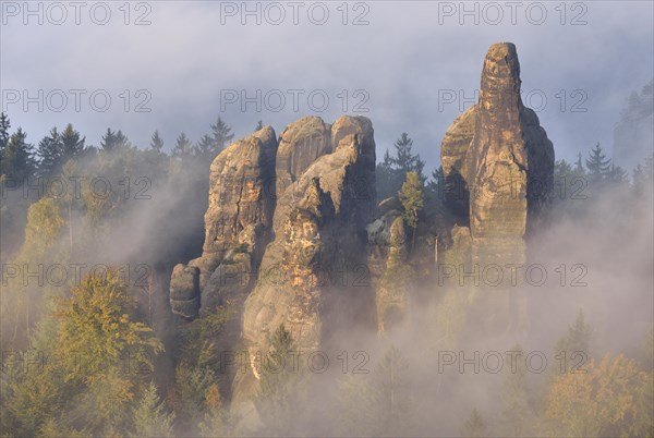 Rock serrated crown