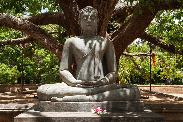 Buddha statue