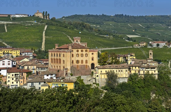 Village of Barolo with Barolo Castle