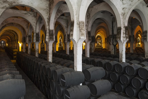 Stacked oak barrels in the wine cellar La Mezquita