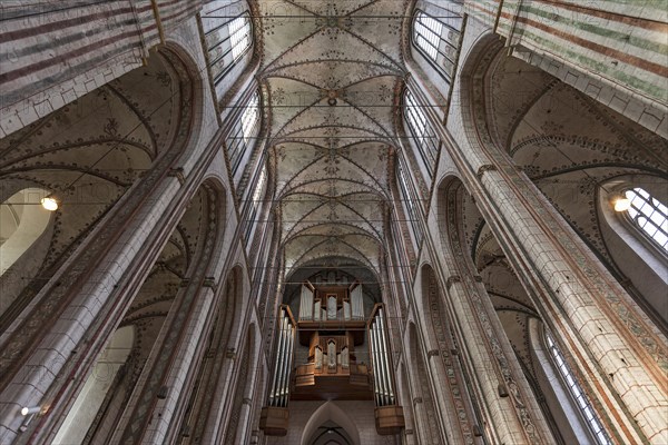 Ceiling vaults with Orgelempore