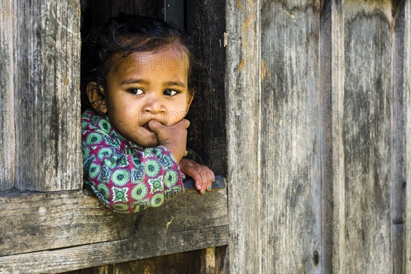 Portrait of a little girl