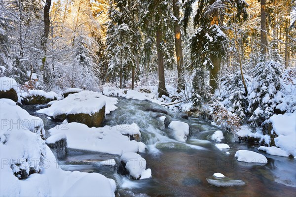 Lower Bode Falls in winter