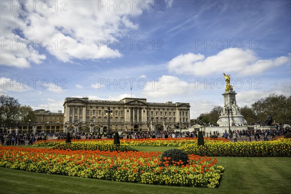 Buckingham Palace and Victoria Memorial