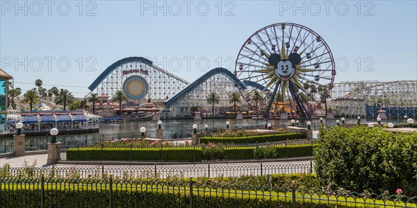 Ferris Wheel Mickey's Fun Wheel and Roller Coaster California Screamin'