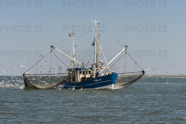 Fishcutter with casted nets at crabs catching