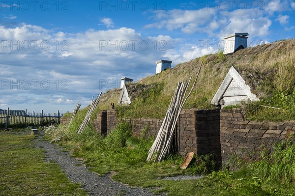 Norse settlement