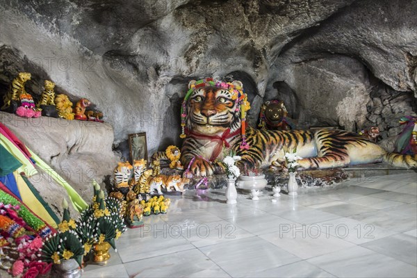 Worship of a tiger sculpture in the Tiger Cave