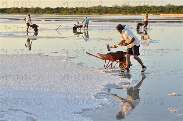 Workers shoveling salt in wheelbarrow