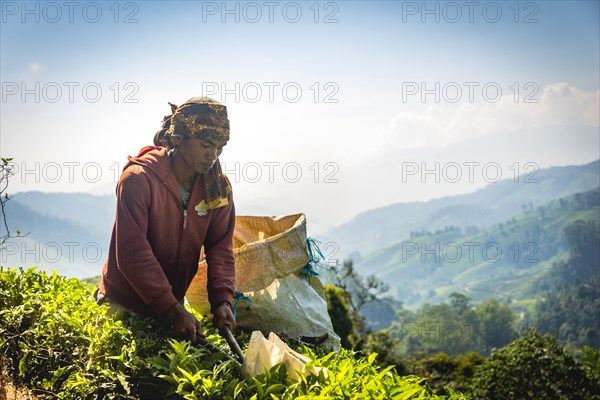 Local young man