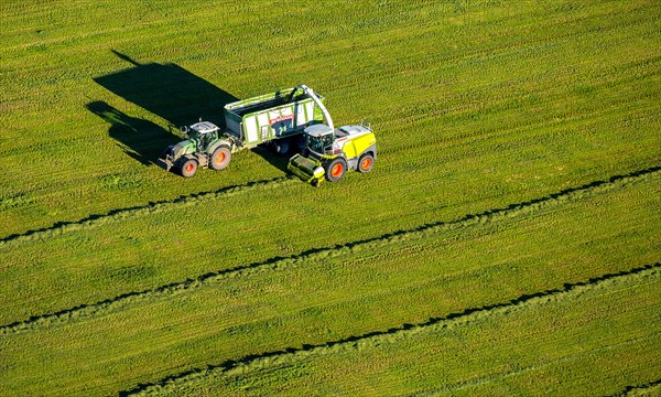 Hay harvest with mower and tractor with trailer