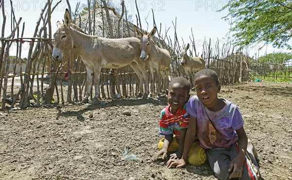 Boys and donkeys in front of mud hut