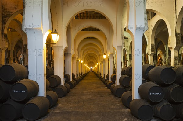 Stacked oak barrels in the wine cellar La Mezquita