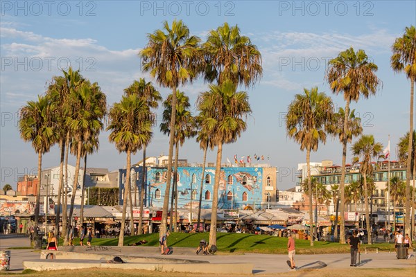 Promenade in Venice Beach