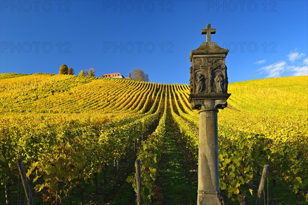 Shrine in vineyards in autumn