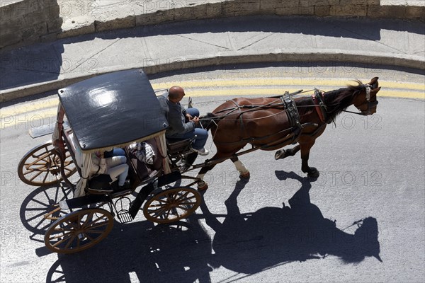 Horse carriage on the road